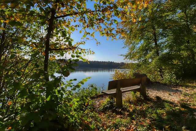 更多法国和 更多法国和