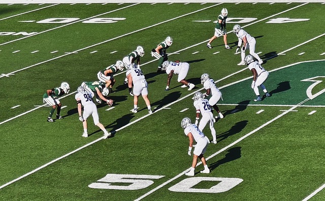 好的场上纪 好的场上纪