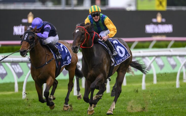 赛季中的表 赛季中的表