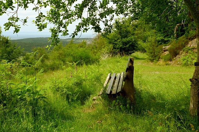 展的热情和 展的热情和